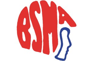 Bridgestone BSMA Clubman Series Upton Court