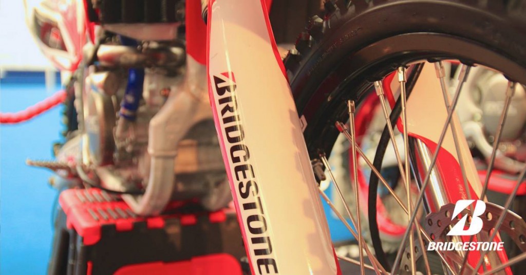 Bridgestone Hawkstone Park 2018