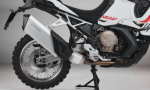 22024-LXP-Orioli