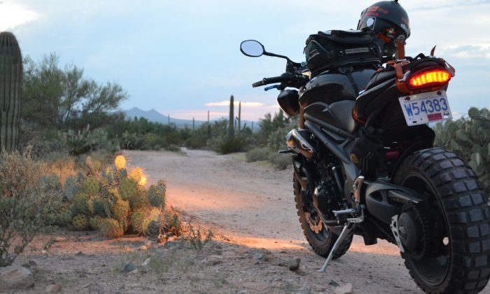 Rider Speed Triple